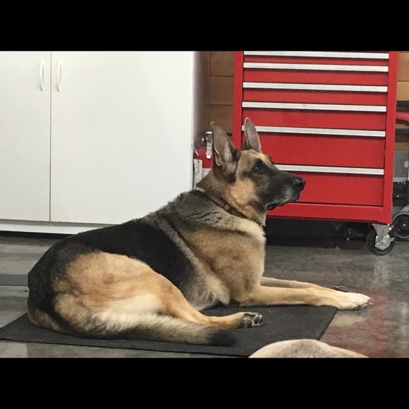 Meet your Posher, Jennifer - Picture 6 of 7